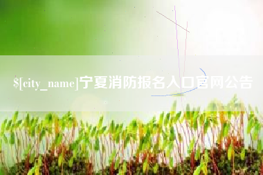 嘉鱼宁夏消防报名入口官网公告