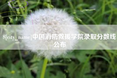 嘉鱼中国消防救援学院录取分数线公布
