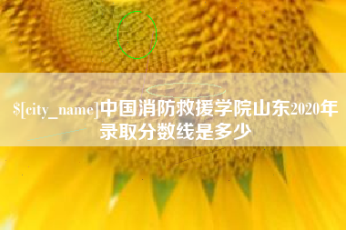 嘉鱼中国消防救援学院山东2020年录取分数线是多少