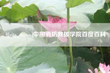 嘉鱼中国消防救援学院百度百科