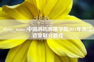 嘉鱼中国消防救援学院2021年浙江省录取分数线