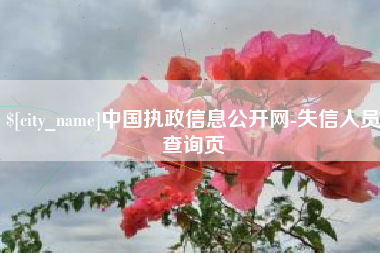 嘉鱼中国执政信息公开网-失信人员查询页