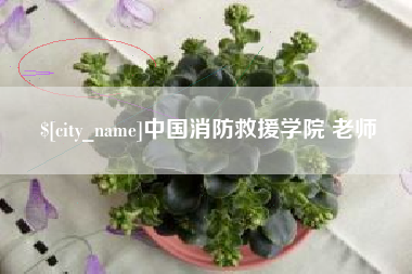 嘉鱼中国消防救援学院 老师