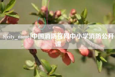 嘉鱼中国消防官网中小学消防公开课