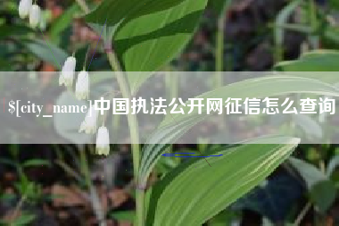 嘉鱼中国执法公开网征信怎么查询