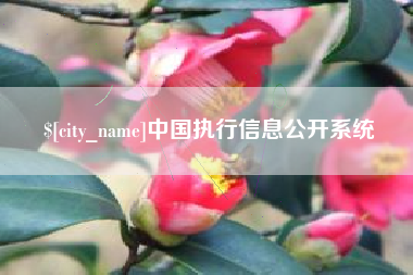 嘉鱼中国执行信息公开系统