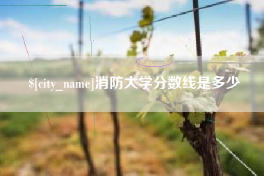 嘉鱼消防大学分数线是多少