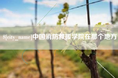 嘉鱼中国消防救援学院在那个地方
