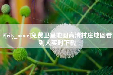 嘉鱼免费卫星地图高清村庄地图看到人实时下载