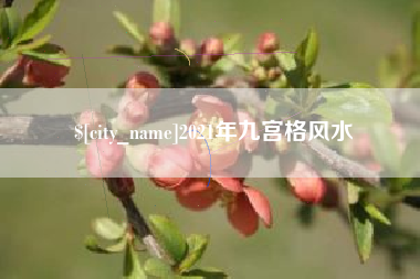 嘉鱼2021年九宫格风水