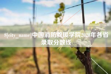 嘉鱼中国消防救援学院2020年各省录取分数线