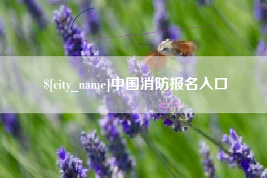 嘉鱼中国消防报名入口