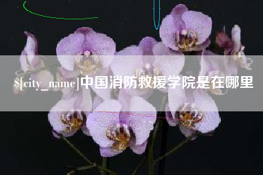 嘉鱼中国消防救援学院是在哪里