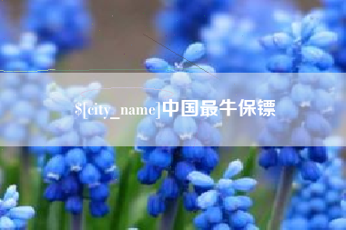 嘉鱼中国最牛保镖