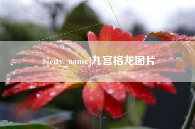 嘉鱼九宫格龙图片