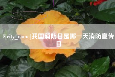 嘉鱼我国消防日是哪一天消防宣传日