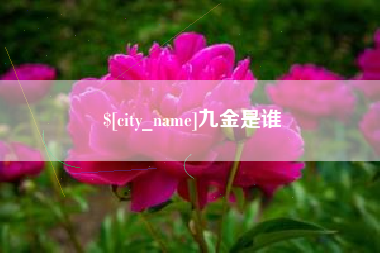 嘉鱼九金是谁