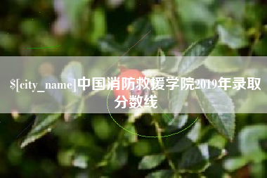 嘉鱼中国消防救援学院2019年录取分数线