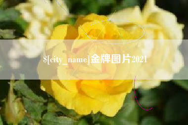 嘉鱼金牌图片2021