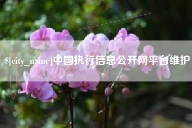 嘉鱼中国执行信息公开网平台维护