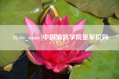 嘉鱼中国消防学院是军校吗