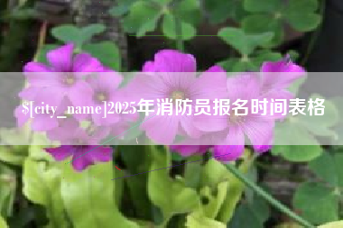 嘉鱼2025年消防员报名时间表格