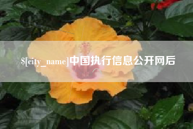 嘉鱼中国执行信息公开网后