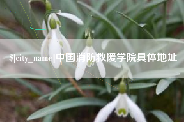 嘉鱼中国消防救援学院具体地址