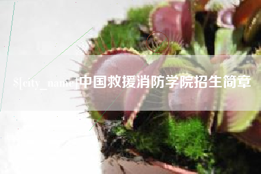 嘉鱼中国救援消防学院招生简章