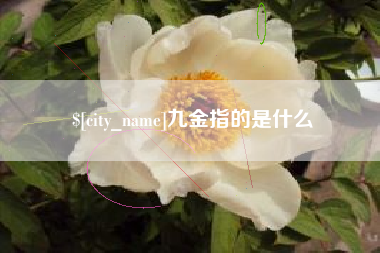 嘉鱼九金指的是什么
