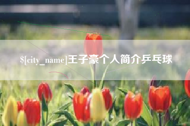 嘉鱼王子豪个人简介乒乓球