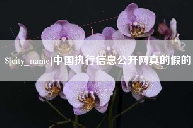 嘉鱼中国执行信息公开网真的假的