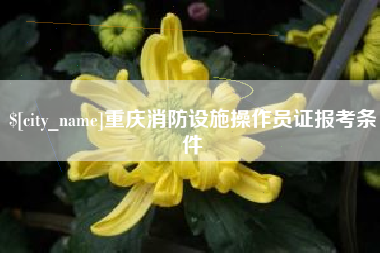 嘉鱼重庆消防设施操作员证报考条件