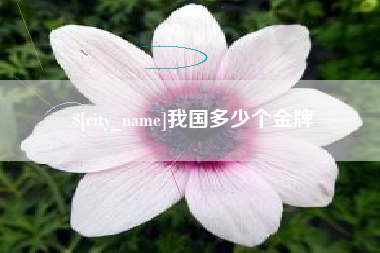 嘉鱼我国多少个金牌