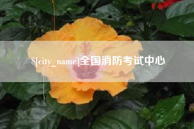 嘉鱼全国消防考试中心