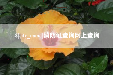 嘉鱼消防证查询网上查询