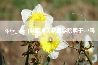 嘉鱼中国消防救援学院属于985吗