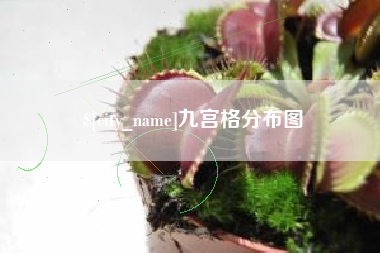 嘉鱼九宫格分布图