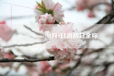 嘉鱼11月9日消防日全称