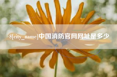 嘉鱼中国消防官网网址是多少