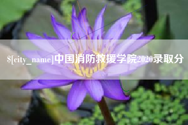嘉鱼中国消防救援学院2020录取分