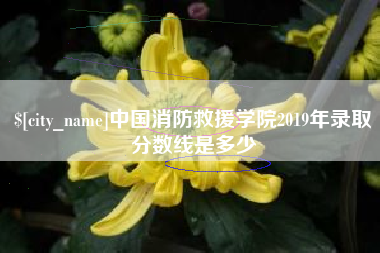 嘉鱼中国消防救援学院2019年录取分数线是多少