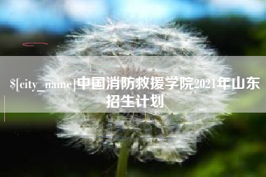 嘉鱼中国消防救援学院2021年山东招生计划