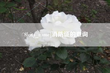 嘉鱼消防证的查询