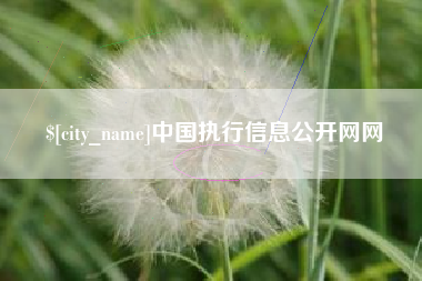 嘉鱼中国执行信息公开网网