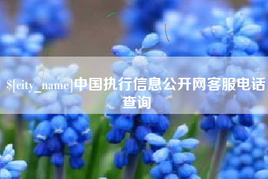 嘉鱼中国执行信息公开网客服电话查询