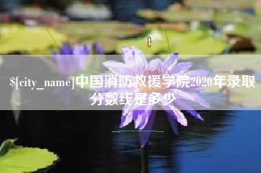 嘉鱼中国消防救援学院2020年录取分数线是多少