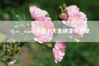 嘉鱼中国十大金牌律师名单
