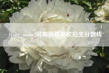 嘉鱼河南消防学校招生分数线