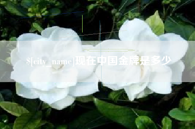 嘉鱼现在中国金牌是多少